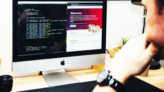 Selecting a Web Developer