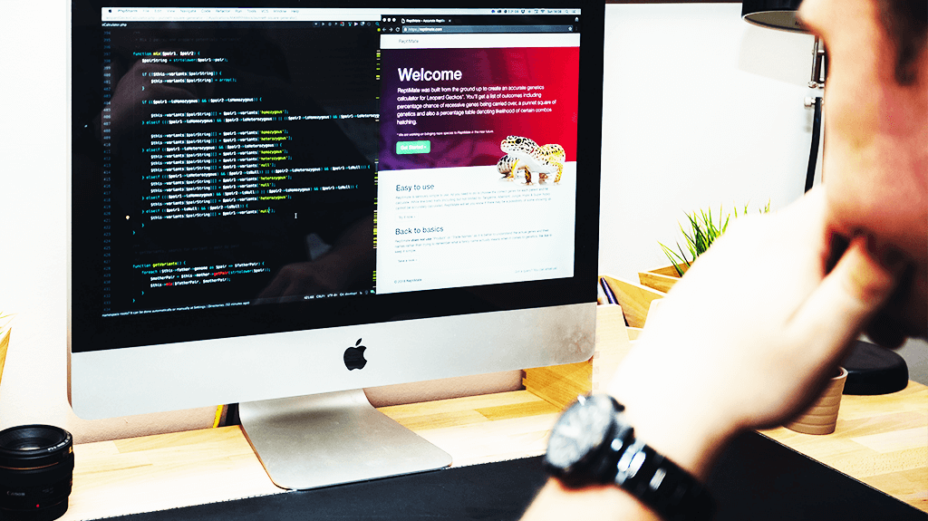 Selecting a Web Developer